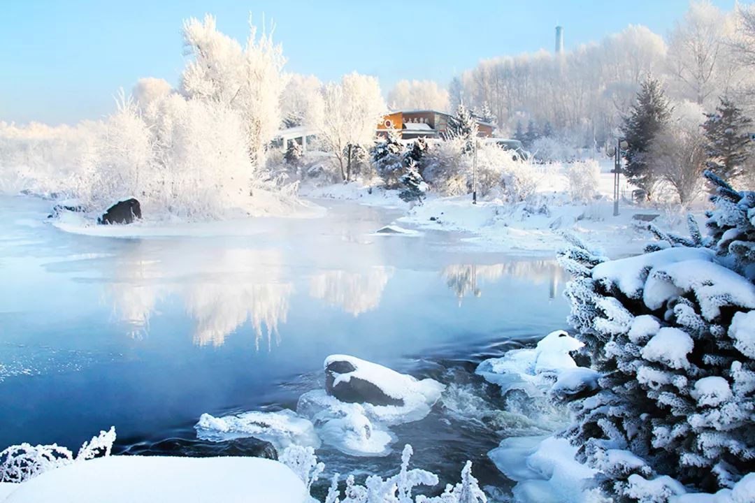 黑龙江，绿色生态守护者与东北振兴先锋