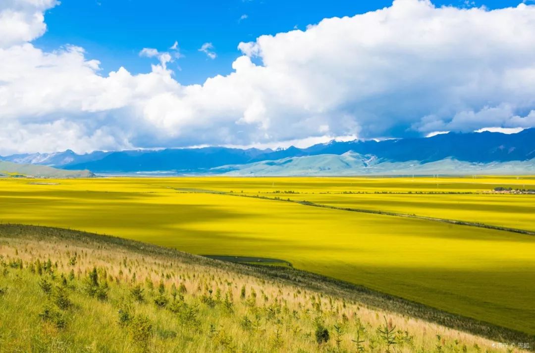 青海，寻梦天堂之旅，邂逅心灵宁静的足迹