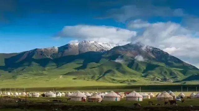 新疆盛情邀请，领导与朋友共聚盛会